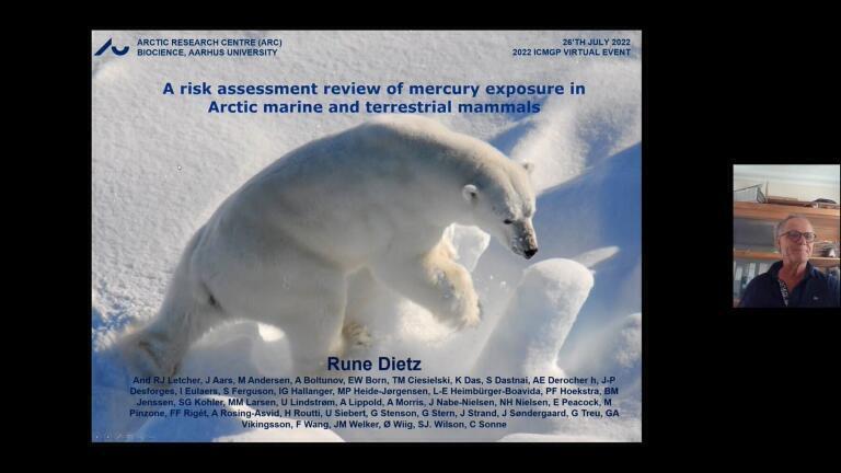 A risk assessment review of mercury exposure in Arctic marine and terrestrial mammals